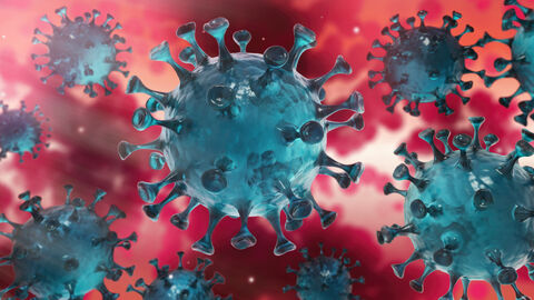 Corona Virus im Inneren des Körpers