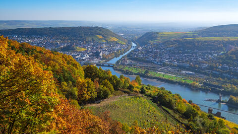 Der Rhein und Weinberge bei Bingen