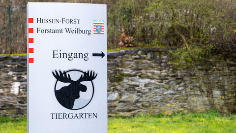 Ministerpräsident Boris Rhein hat den Tiergarten Weilburg besucht und sich dort u.a. über das Angebot des Wildparks informiert.