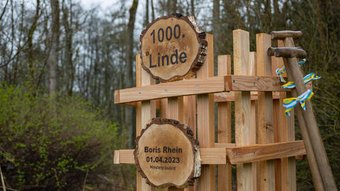 Ministerpräsident Boris Rhein hat bei seinem Besuch des Tiergartens Weilburg einen Baum am Ende der historischen „Tausend-Linden-Allee“, die den Wildpark mit der Stadt Weilburg verbindet, gepflanzt.